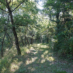 2019-08-23-chemin-de maleval.jpg